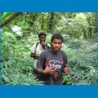 025_jungle.jpg